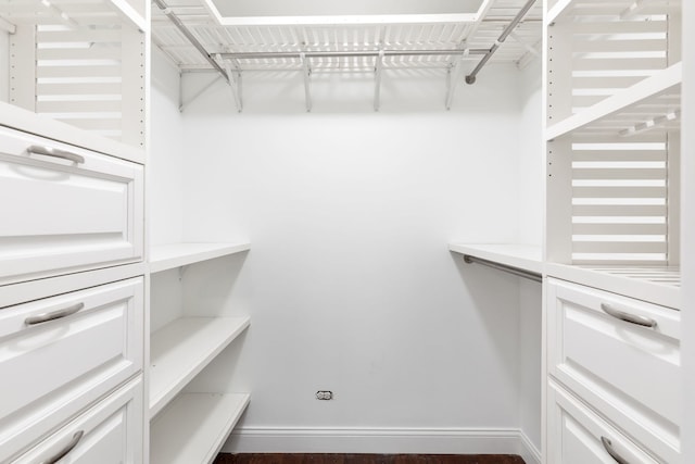 view of spacious closet