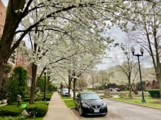 view of road with curbs, sidewalks, and street lighting