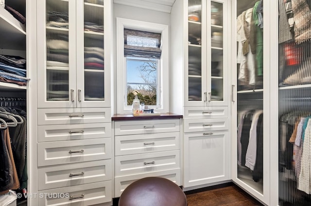 walk in closet with dark wood finished floors