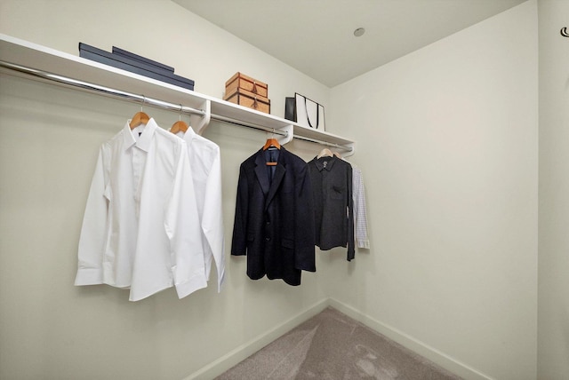 spacious closet with carpet