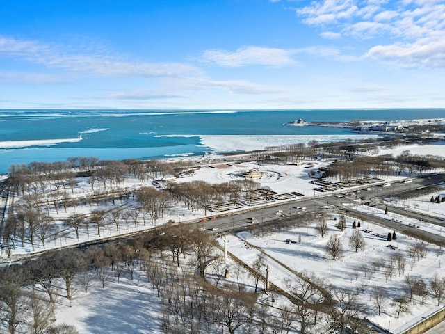 bird's eye view with a water view