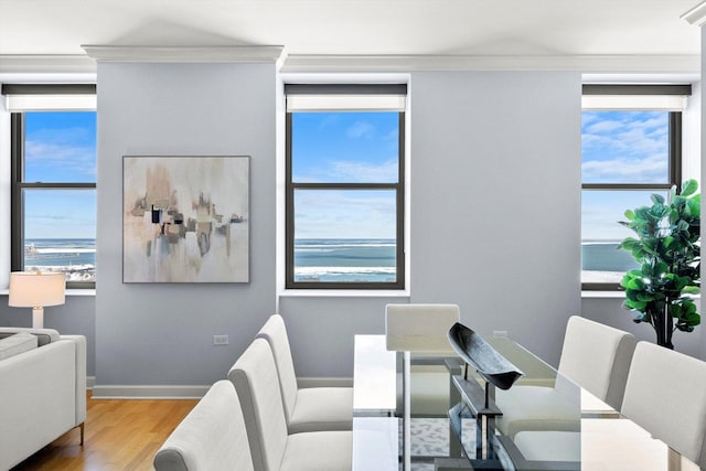 interior space featuring baseboards, wood finished floors, and ornamental molding