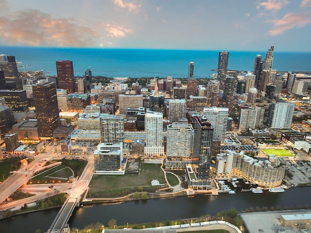 701 S Wells St Unit 3105, Chicago, IL 60607 - property's view of city with a water view