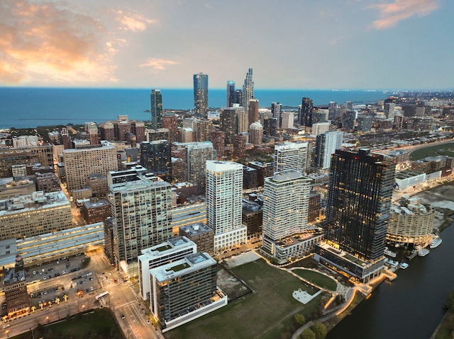 701 S Wells St Unit 3105, Chicago, IL 60607 - city view featuring a water view