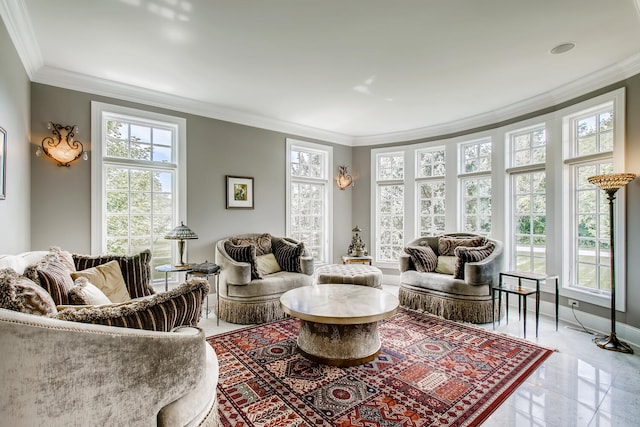 living room with crown molding and a healthy amount of sunlight