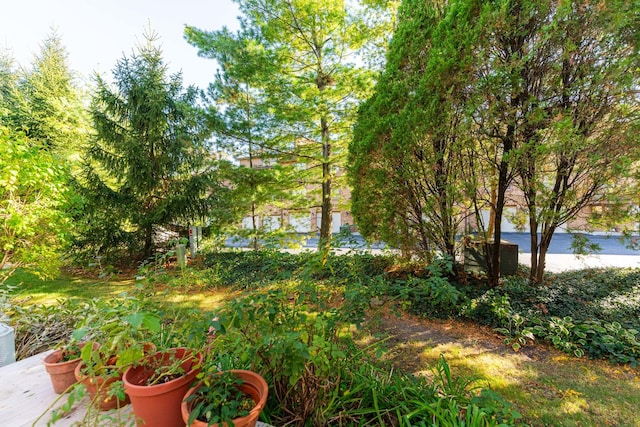 7914 S Garfield Ave, Burr Ridge, IL 60527 - view of yard