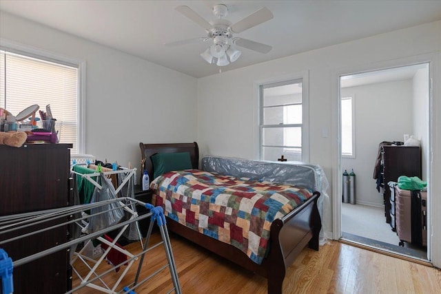 bedroom featuring ceiling fan, multiple windows, and wood finished floors