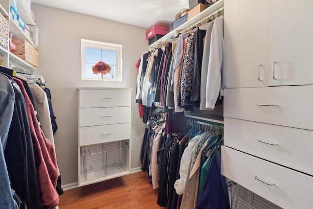 spacious closet featuring wood finished floors