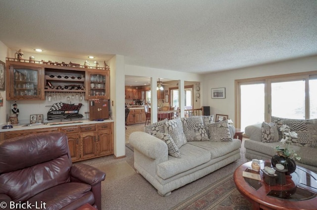 living area featuring light carpet and a textured ceiling