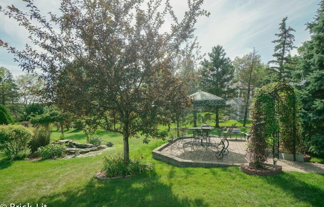 view of community featuring a yard and a patio