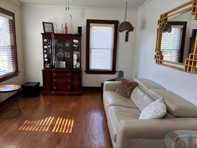 living area featuring baseboards, wood finished floors, and crown molding