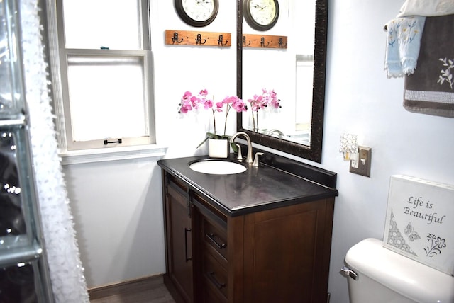 bathroom with toilet and vanity