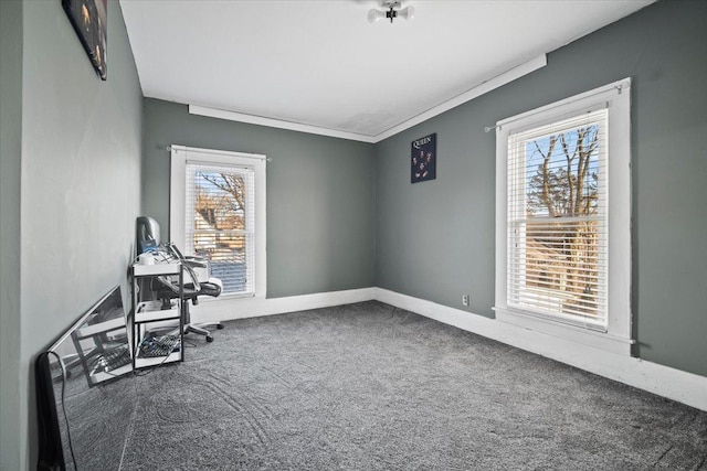 workout area featuring carpet floors, baseboards, and crown molding