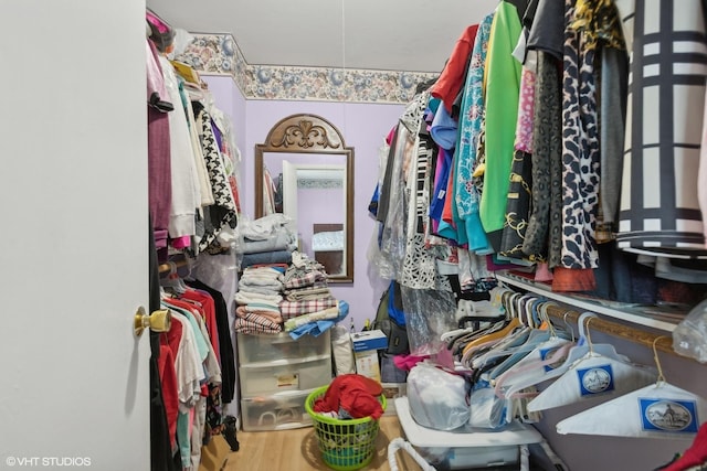 spacious closet featuring wood-type flooring