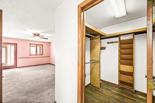 walk in closet featuring wood finished floors and ceiling fan