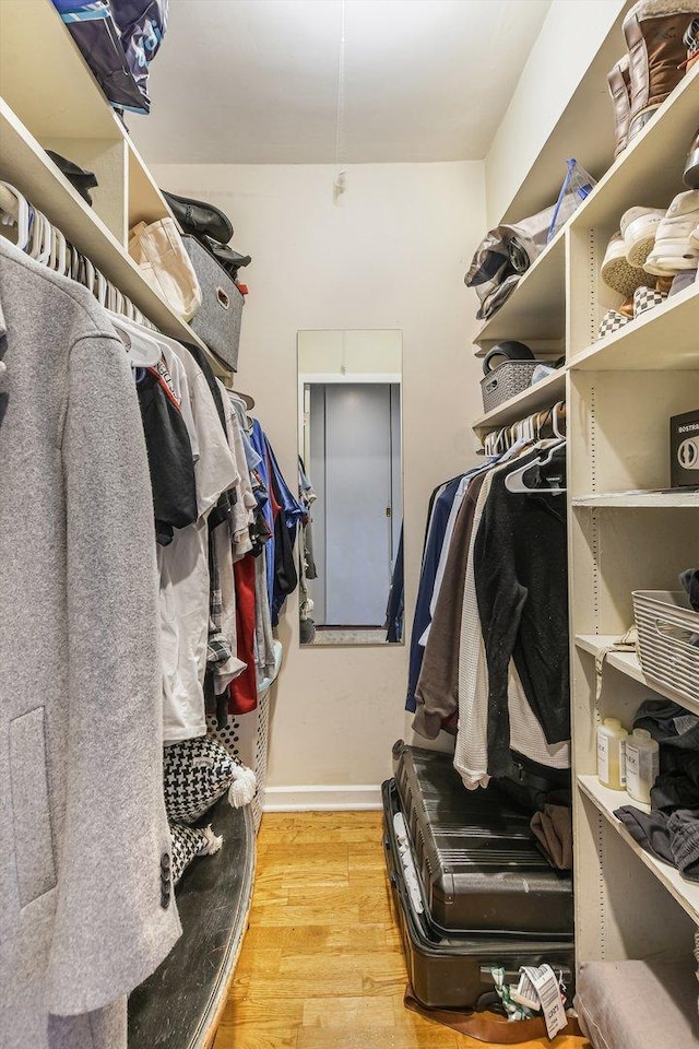 walk in closet featuring light wood-type flooring