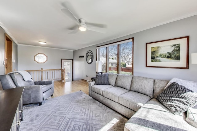 living room featuring light wood-style flooring, ceiling fan, and ornamental molding