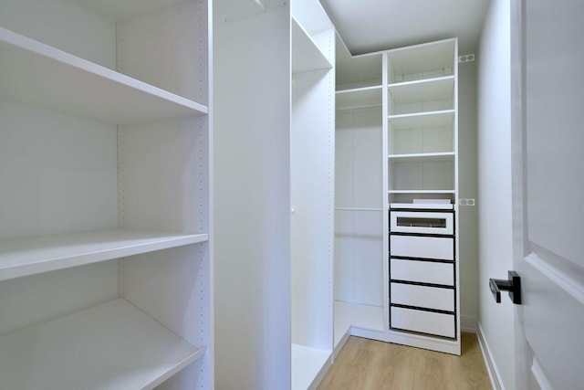 walk in closet featuring light wood finished floors