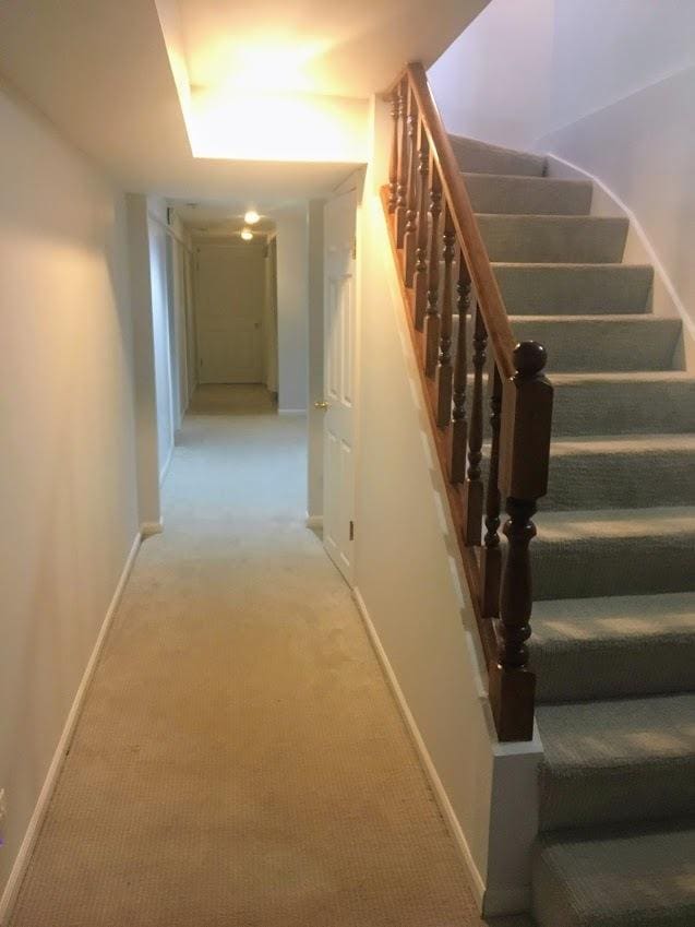 stairway with carpet flooring and baseboards