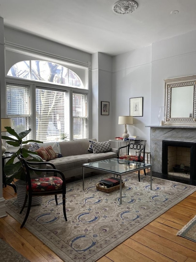 living room featuring a premium fireplace and hardwood / wood-style floors