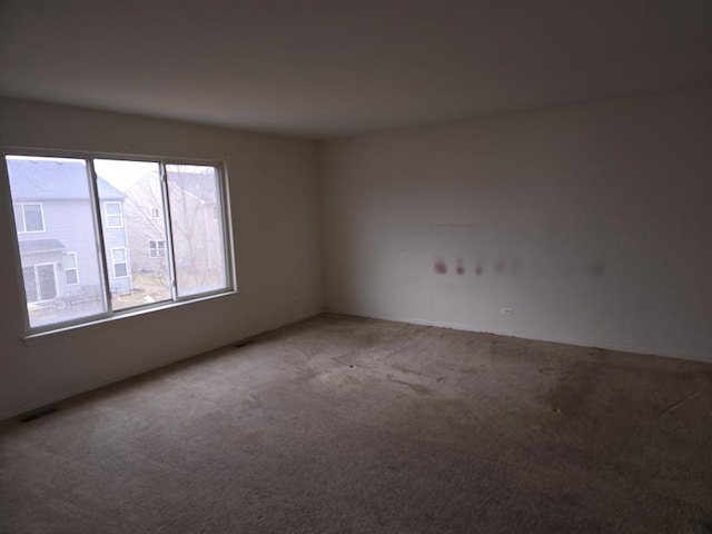 spare room with carpet