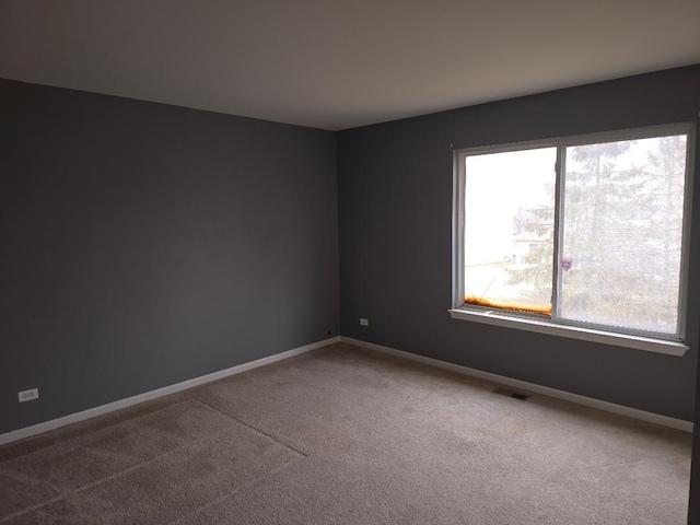 spare room with carpet floors