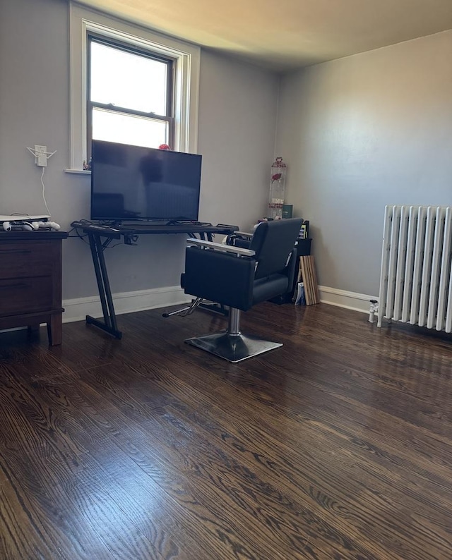 1907 S 49th Ct, Cicero, IL 60804 - home office with radiator heating unit, wood finished floors, and baseboards