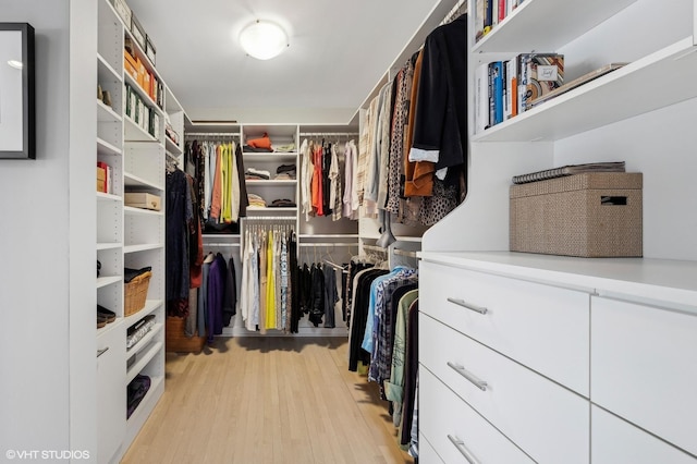 spacious closet featuring light wood-style flooring