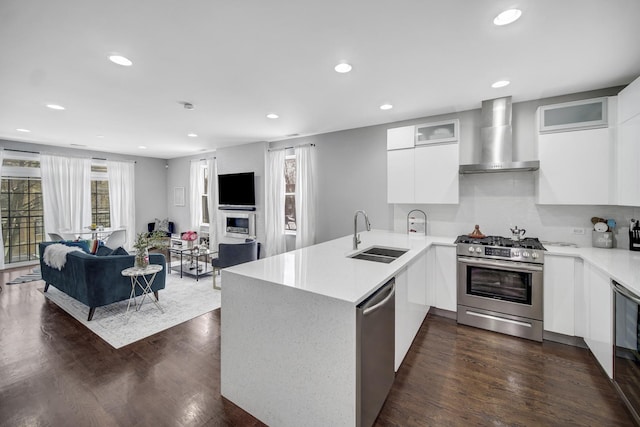 kitchen with appliances with stainless steel finishes, modern cabinets, wall chimney range hood, and a sink