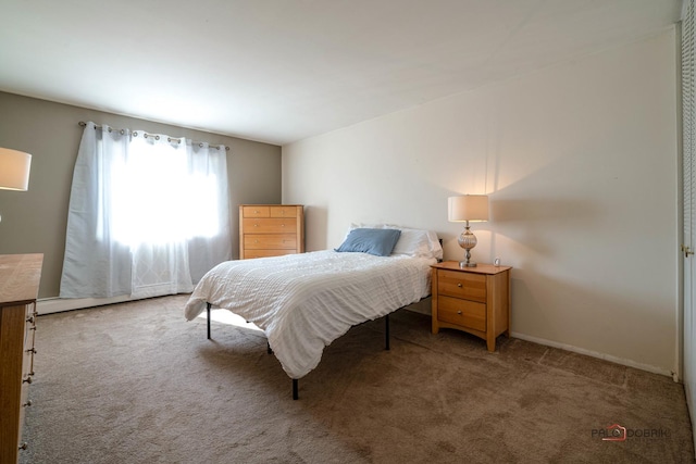 bedroom featuring carpet flooring