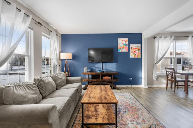 living room featuring wood-type flooring