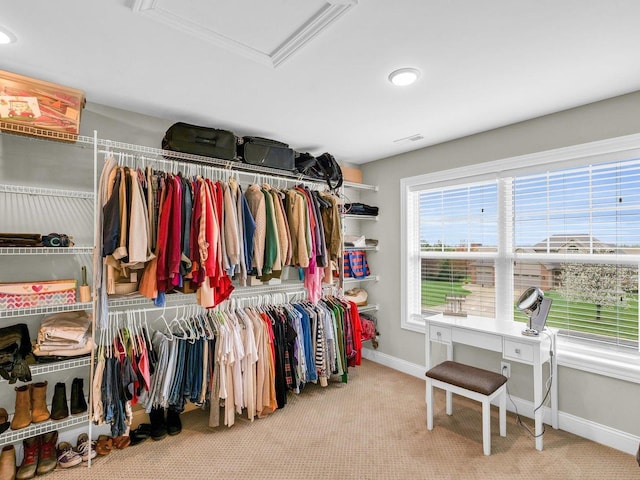 5 Fieldcrest Dr, Monticello, IL 61856 - spacious closet with carpet floors and attic access