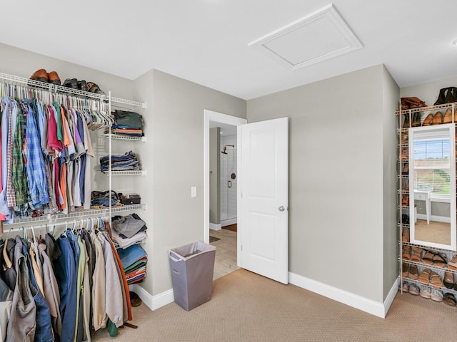 5 Fieldcrest Dr, Monticello, IL 61856 - spacious closet featuring carpet flooring and attic access