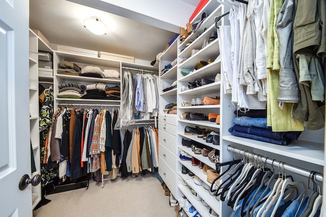 walk in closet with carpet floors