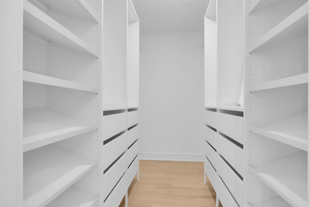 spacious closet with light hardwood / wood-style floors