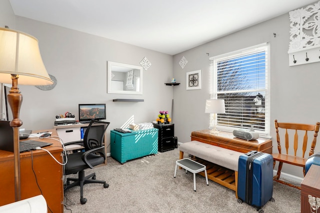 office featuring carpet floors and baseboards