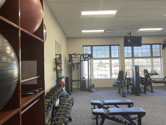 gym featuring carpet, baseboards, and a drop ceiling