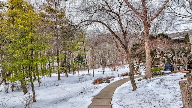 view of yard layered in snow