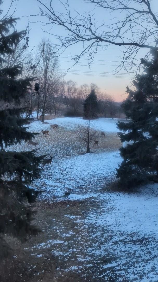 view of yard layered in snow