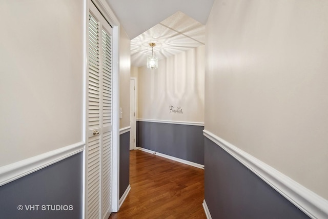 hall featuring dark wood-type flooring and wainscoting