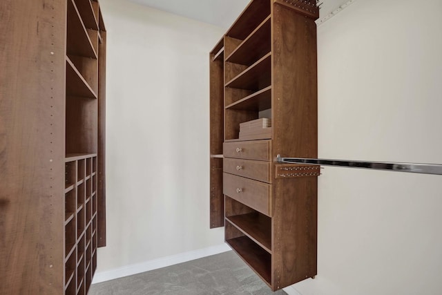 walk in closet featuring carpet floors