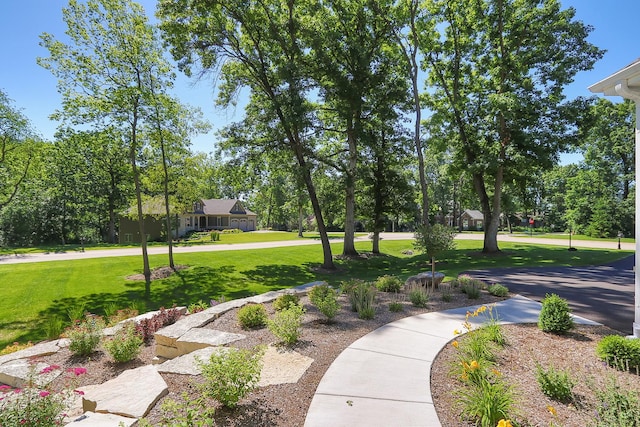 view of community with a lawn