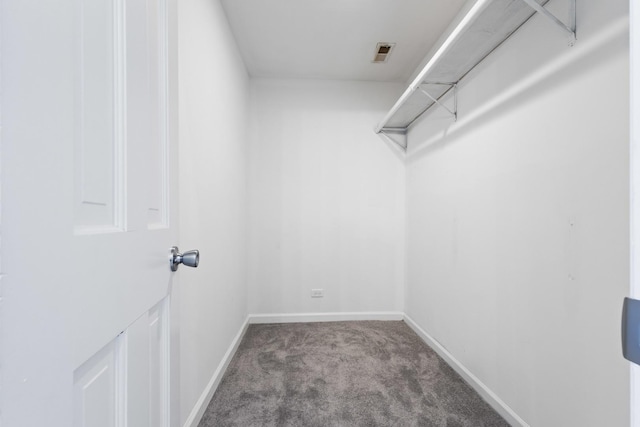 spacious closet with visible vents and carpet flooring