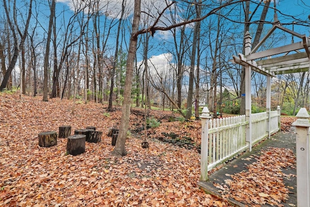 view of yard featuring a pergola