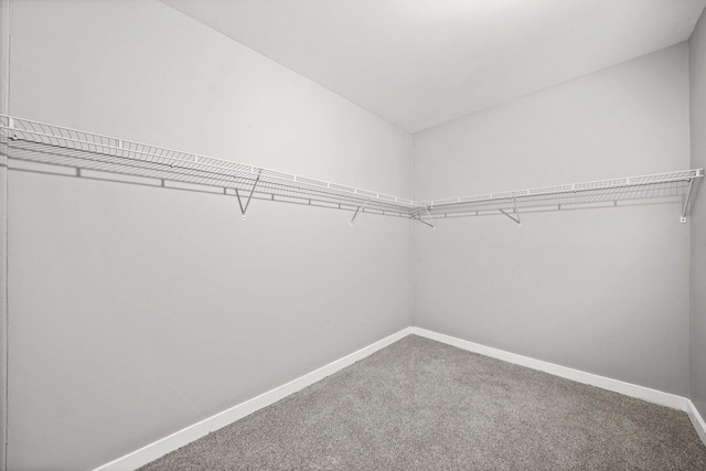 spacious closet with carpet floors