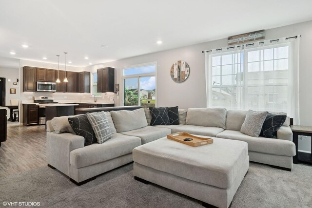 living room featuring light wood-type flooring and recessed lighting