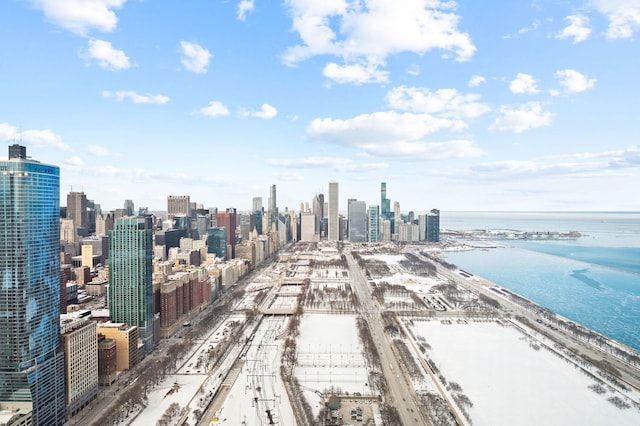 birds eye view of property featuring a city view and a water view