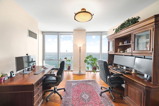 office featuring visible vents, plenty of natural light, wood finished floors, and expansive windows