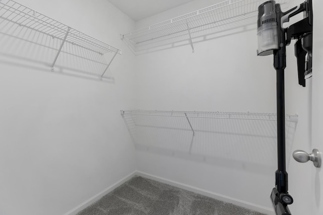 spacious closet featuring carpet floors