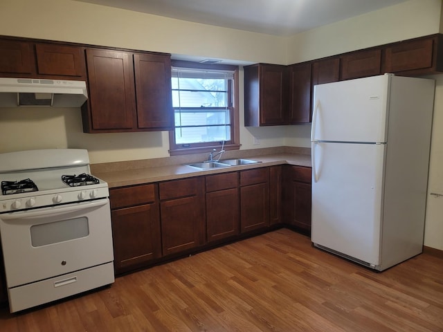 kitchen with under cabinet range hood, white appliances, a sink, light wood-style floors, and light countertops